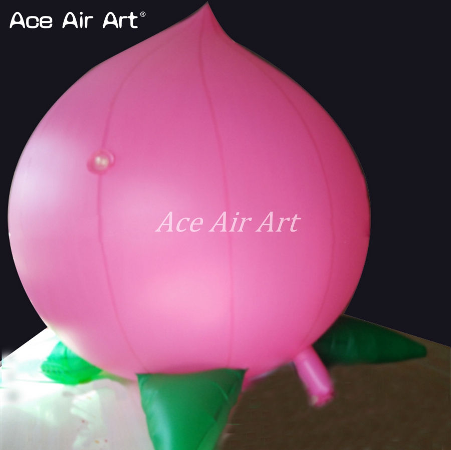 Agriculture Farming School - Advertising Giant Inflatable Farm Produce Peach