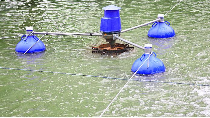 3HP Commercial Aquaculture Fis - Fish Pond Aerator ulasan dan harga