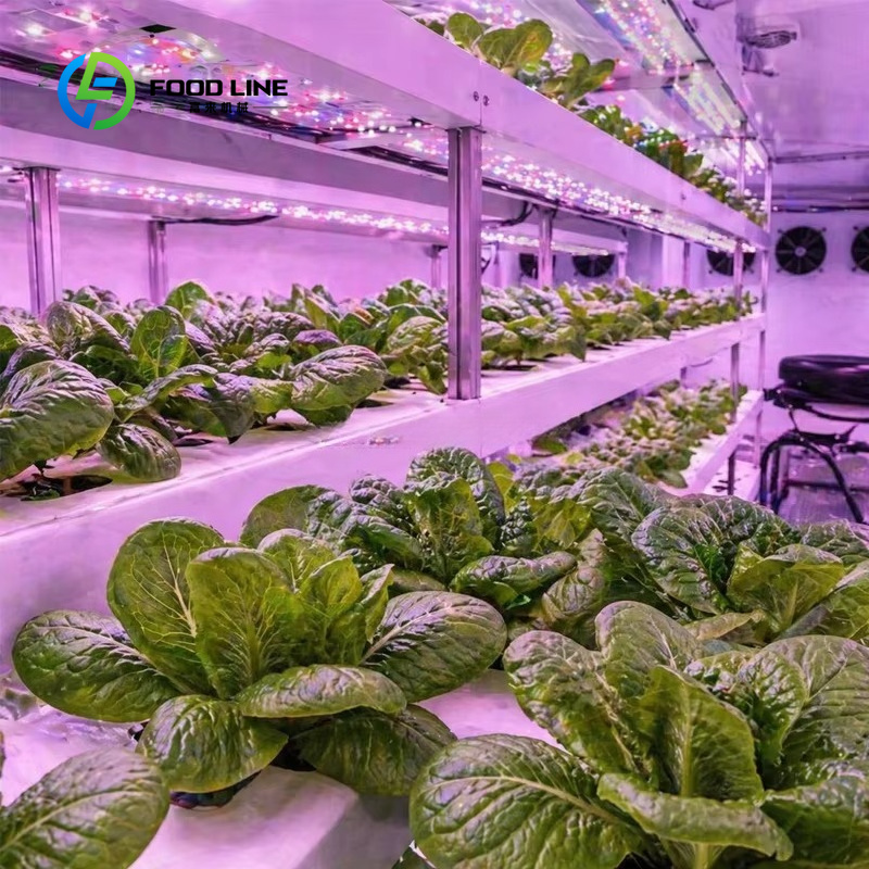 Hydroponic Container Farm for  - Farming Agriculture Project ulasan dan harga