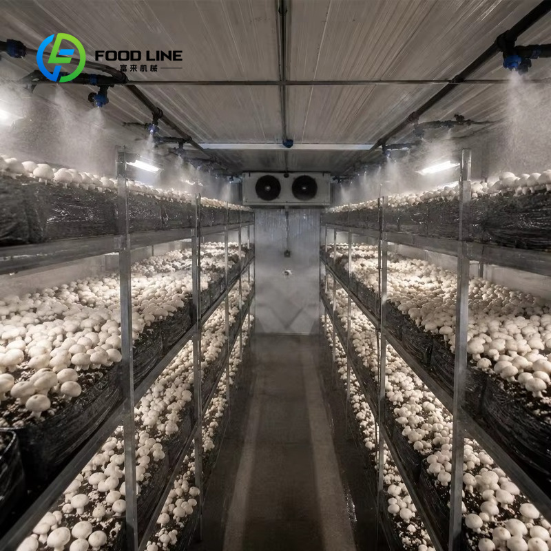 Container Farm Vertical Farmin - Farming Agriculture Project ulasan dan harga