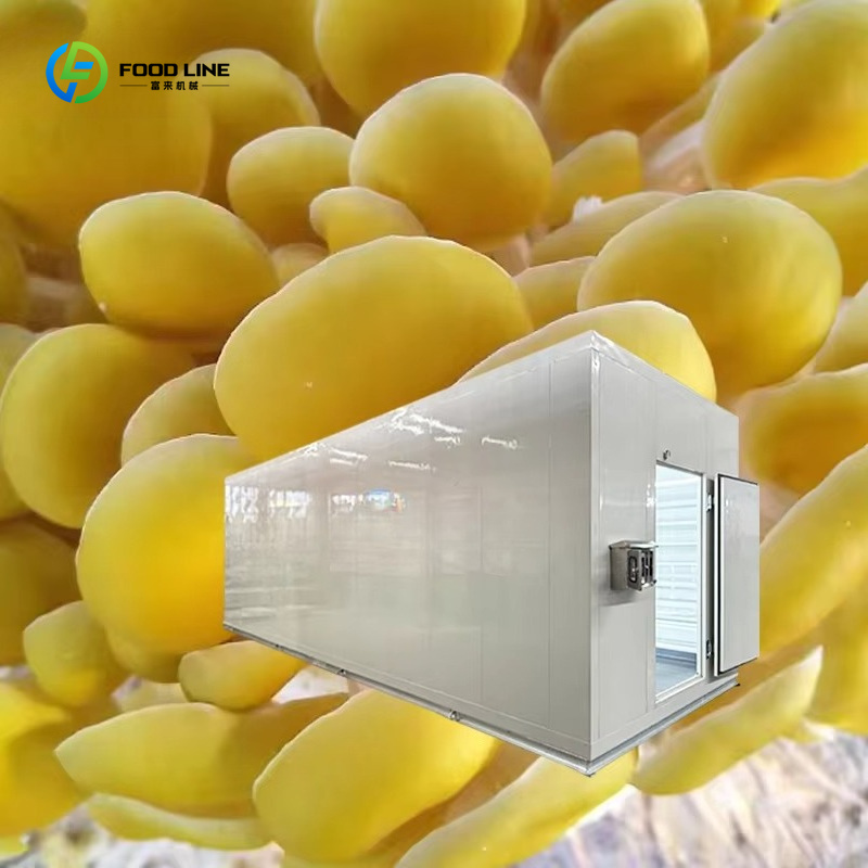 Smart Mushroom Growing Capsule - Agriculture Farming New Technology ulasan dan harga