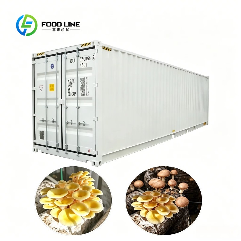 Hydroponic Container Farm with - Farming Agriculture Project ulasan dan harga