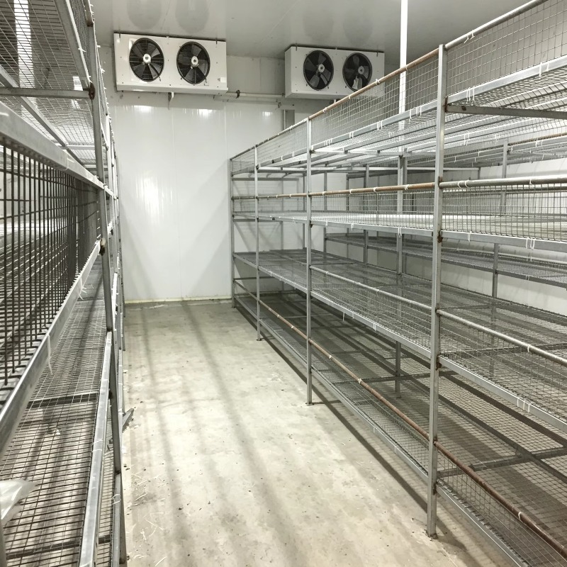 Hydroponic Container Farm with - Farming Agriculture Project ulasan dan harga