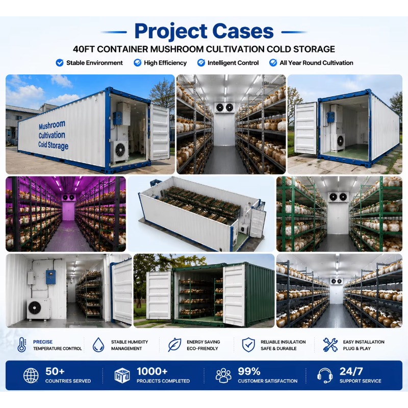 Hydroponic Container Farm with - Farming Agriculture Project ulasan dan harga